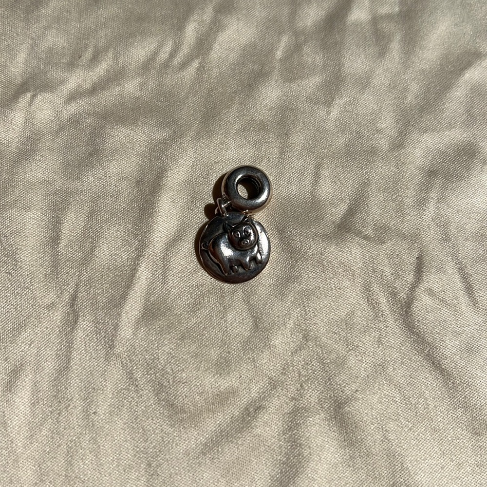 Year of the pig Pandora charm